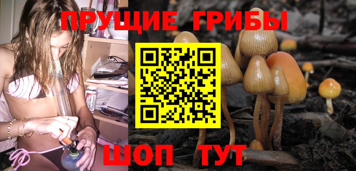 Галлюциногенные грибы ЛСД  купить наркоту  Ярцево  Вход с VPN 